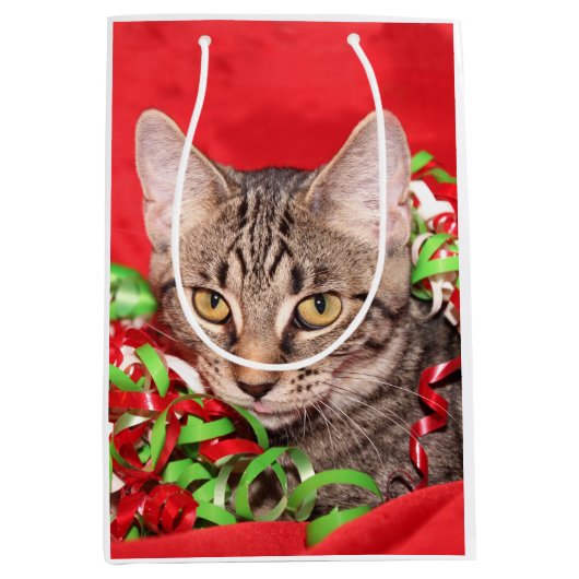 Kat kerstmis medium cadeauzakje (Voorkant)