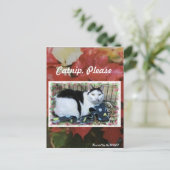 Kat-kerstpostkaart Briefkaart (Staand voorkant)