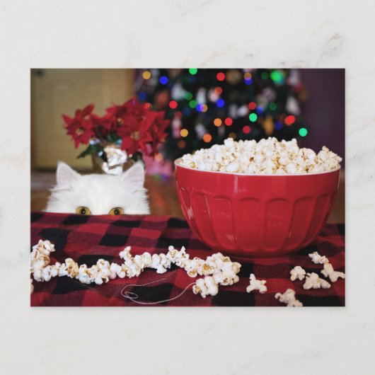 Kat-kerstverleiding Briefkaart (Voorkant)