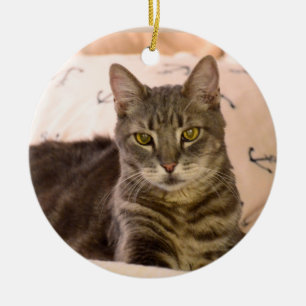 Kat-kerstversiering van Greg tabby Keramisch Ornament