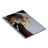 Kat, kitten, dier notitieboek (Rechterzijde)