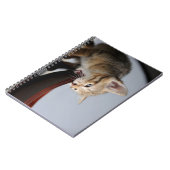 Kat, kitten, dier notitieboek (Linkerzijde)