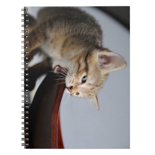Kat, kitten, dier notitieboek (Voorkant)