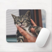 Kat, kitten, hand muismat (Met muis)