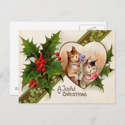 Kat Kitten Hart Shamrock Holly Briefkaart (Voorkant / Achterkant)