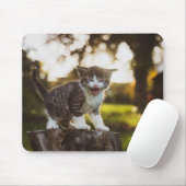 Kat, kitten, huisdier muismat (Met muis)