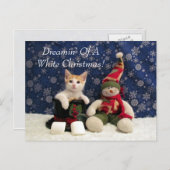 Kat, Kitten, Kerstmis, Redding, Foto Feestdagenkaart (Voorkant / Achterkant)