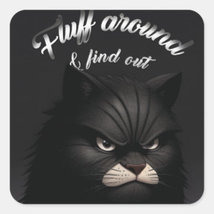 Kat, kitten, pluis rond en ontdek grappig vierkante sticker