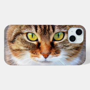 Kat-klauw iPhone 15 Mini Hoesje