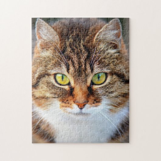 Kat-klauw Legpuzzel (Verticaal)
