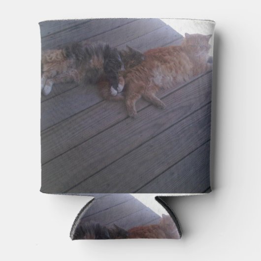 Kat-Koelbox Blikjeskoeler (Voorkant)