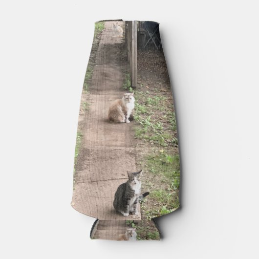 Kat Koelbox Flesjeskoeler (Voorkant)