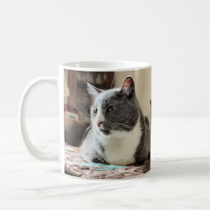 Kat Koffiemok