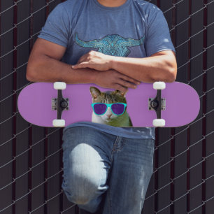 KAT-KUNSTMATIGE SUNGLASSEN SKATEBOARDS