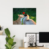 kat kus poster (Thuiskantoor)