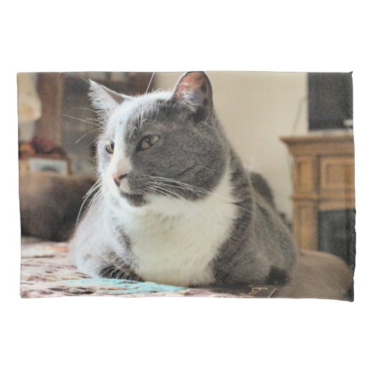 Kat Kussensloop (Voorkant)