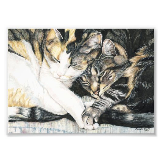 Kat-kutbalk Kunstafdrukken Foto Afdruk (Voorkant)