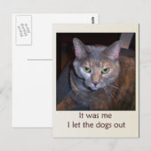Kat laat de honden eruit briefkaart (Voorkant / Achterkant)