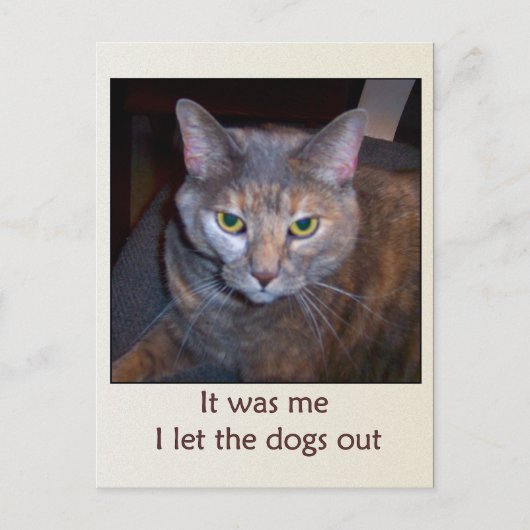 Kat laat de honden eruit briefkaart (Voorkant)