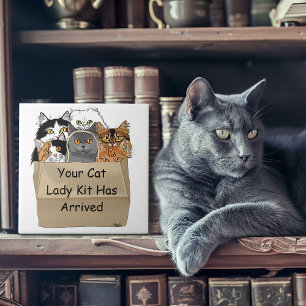 Kat Lady Starter Kit Tegeltje