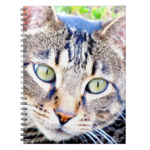 Kat-laptop Notitieboek