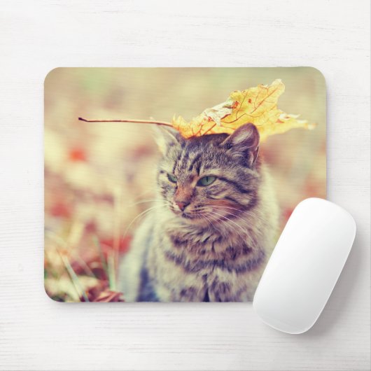 Kat Leaf Balancing Act Muismat (Met muis)