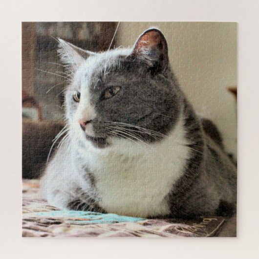 Kat Legpuzzel (Verticaal)