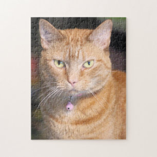 Kat Legpuzzel