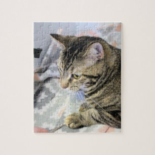 Kat Legpuzzel