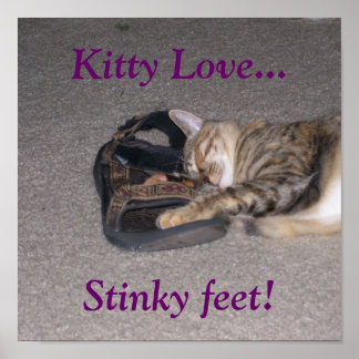Kat liefde... Stinky voeten! Poster