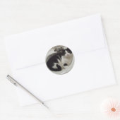 Kat-liefhebbers delven ronde sticker (Envelop)