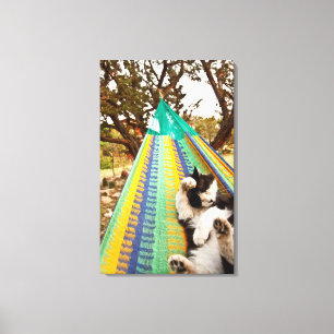 Kat ligt in Mayan Mexican hammock Canvas Afdruk