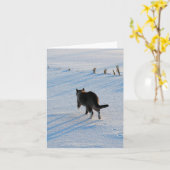 Kat loopt in Snowy Corn Field All Ocassions Kaart (Gele Bloem)