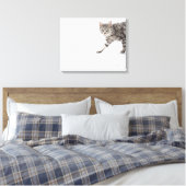Kat lopen canvas afdruk (Insitu (Slaapkamer))