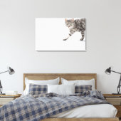 Kat lopen canvas afdruk (Insitu (Slaapkamer))