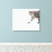 Kat lopen canvas afdruk (Insitu (Houten vloer))