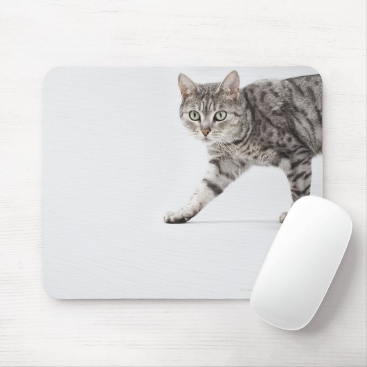 Kat lopen muismat (Met muis)