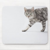 Kat lopen muismat (Voorkant)