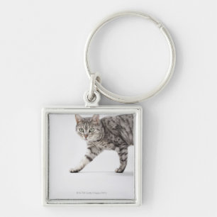 Kat lopen sleutelhanger