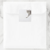 Kat lopen vierkante sticker (Tas)