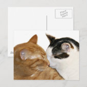 Kat Love Briefkaart (Voorkant / Achterkant)