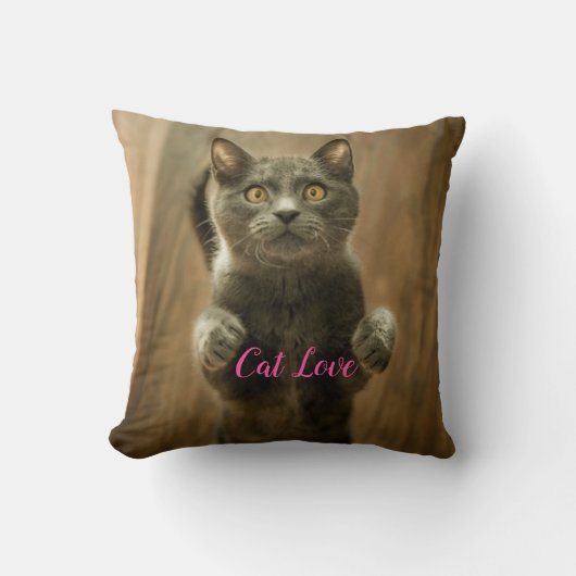 Kat Love Popular Design Cft Kussen (Voorkant)