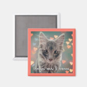 Kat Love Square Magnet Magneet (Voorkant / Achterkant)