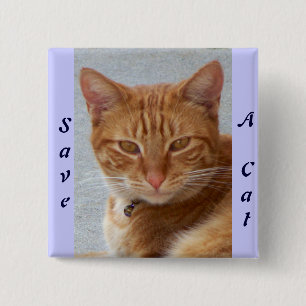 Kat Lover_ Vierkante Button 5,1 Cm