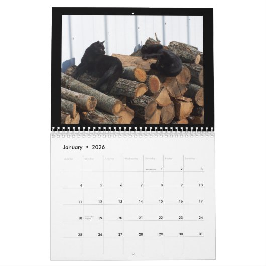Kat Lovers 2014 kalender-EDIT JAAR zoals nodig Kalender (Jan 2026)