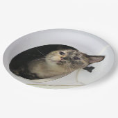 Kat-luiers Papieren Bordje (Gekanteld)