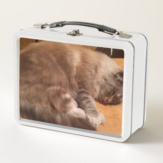 Kat Lunch Box (Voorkant)
