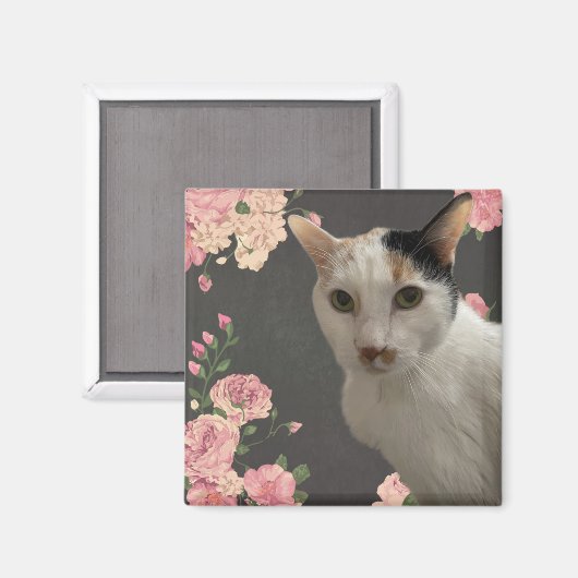 Kat Magneet (Voorkant / Achterkant)