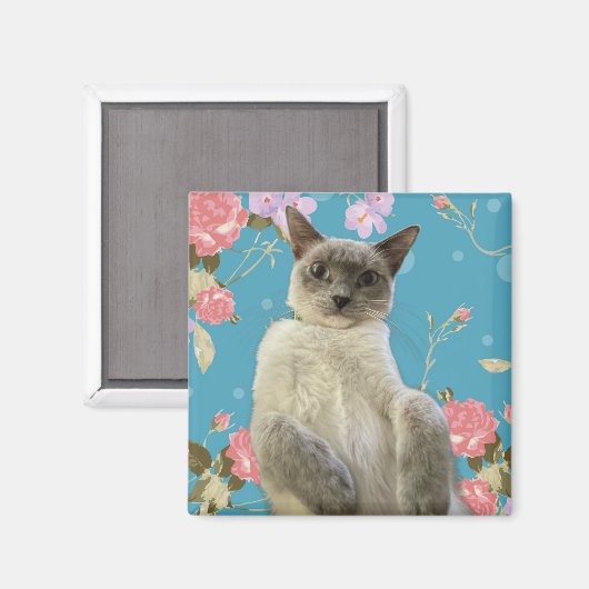  Kat Magneet (Voorkant / Achterkant)