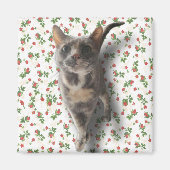  Kat Magneet (Voorkant)